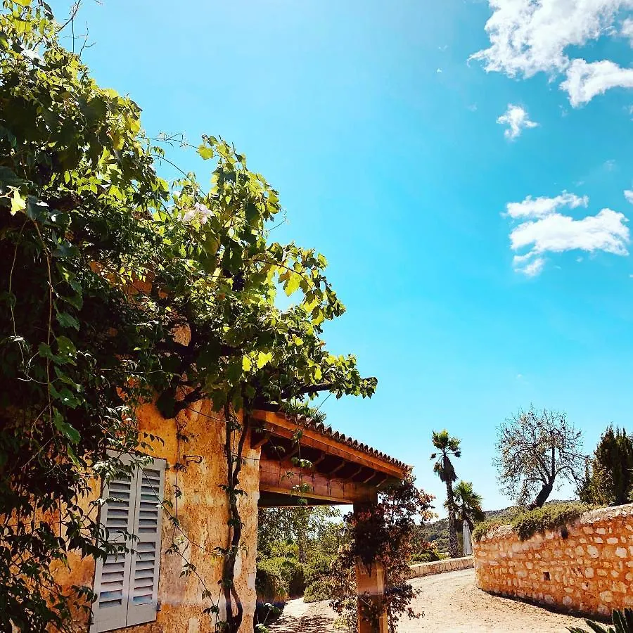 Finca Sa Moleta Nou Son Macià